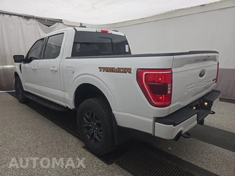 2023 Ford F-150 Tremor Crew Cab Short Bed - miniatura 6