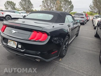 2023 Ford Mustang EcoBoost Premium Convertible - miniatura 4