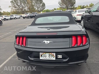 2023 Ford Mustang EcoBoost Premium Convertible - miniatura 5
