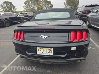 2023 Ford Mustang EcoBoost Premium Convertible - miniatura 5