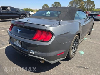 2023 Ford Mustang EcoBoost Premium Convertible - miniatura 4