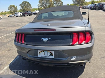 2023 Ford Mustang EcoBoost Premium Convertible - miniatura 5