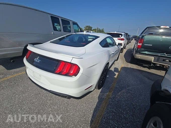 2023 Ford Mustang GT Premium Coupe – miniatura 3