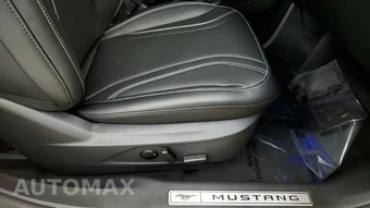 2023 Ford Mustang Mach-E Premium - miniatura 36
