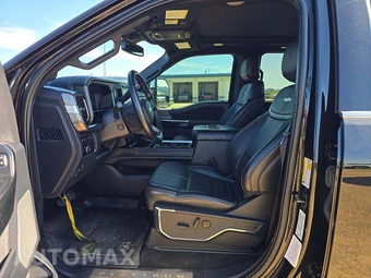 2023 Ford Super Duty F-250 Platinum Crew Cab Medium Bed - miniatura 3