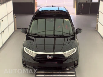 2023 Honda Odyssey Elite 118.1" WB - miniatura 2
