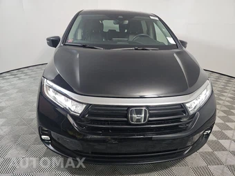 2023 Honda Odyssey Elite 118.1" WB - miniatura 2