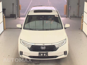 2023 Honda Odyssey Elite 118.1" WB - miniatura 2