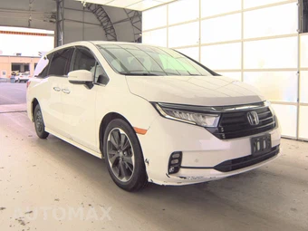 2023 Honda Odyssey Elite 118.1" WB - miniatura 3