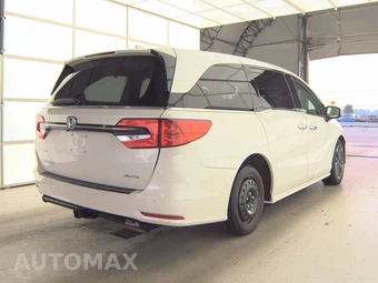 2023 Honda Odyssey Elite 118.1" WB - miniatura 4