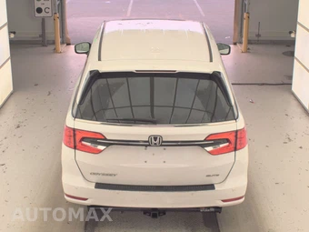 2023 Honda Odyssey Elite 118.1" WB - miniatura 5