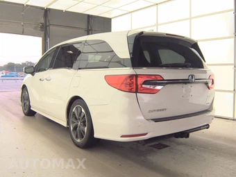 2023 Honda Odyssey Elite 118.1" WB - miniatura 6