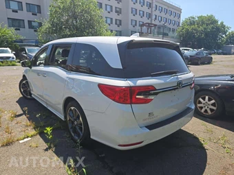 2023 Honda Odyssey Elite 118.1" WB - miniatura 2