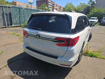 2023 Honda Odyssey Elite 118.1" WB - miniatura 3