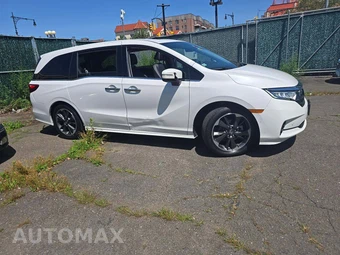 2023 Honda Odyssey Elite 118.1" WB - miniatura 4