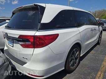 2023 Honda Odyssey Elite 118.1" WB - miniatura 3