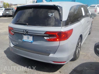2023 Honda Odyssey Elite 118.1" WB - miniatura 2