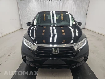 2023 Honda Odyssey Elite 118.1" WB - miniatura 2
