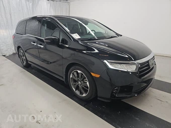 2023 Honda Odyssey Elite 118.1" WB - miniatura 3