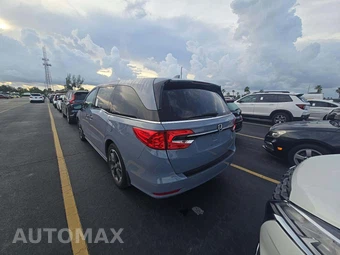 2023 Honda Odyssey Elite 118.1" WB - miniatura 2