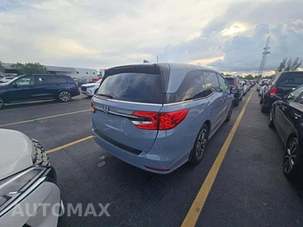 2023 Honda Odyssey Elite 118.1" WB - miniatura 3