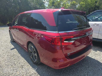 2023 Honda Odyssey Elite 118.1" WB - miniatura 2
