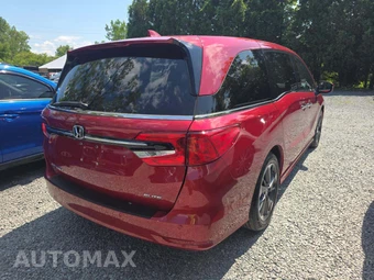 2023 Honda Odyssey Elite 118.1" WB - miniatura 3