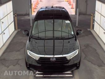 2023 Honda Odyssey Elite 118.1" WB - miniatura 2