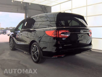 2023 Honda Odyssey Elite 118.1" WB - miniatura 6