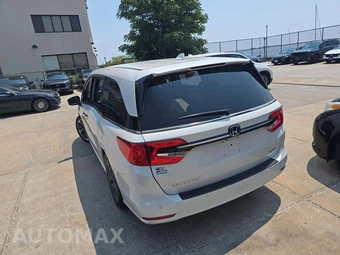 2023 Honda Odyssey Elite 118.1" WB - miniatura 2