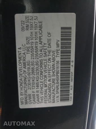2023 Honda Odyssey Elite 118.1" WB - miniatura 11