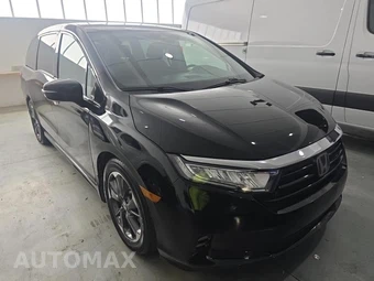 2023 Honda Odyssey Elite 118.1" WB - miniatura 3