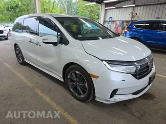2023 Honda Odyssey Elite 118.1" WB - miniatura 3