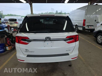 2023 Honda Odyssey Elite 118.1" WB - miniatura 5