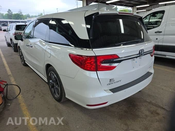 2023 Honda Odyssey Elite 118.1" WB - miniatura 6