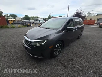 2023 Honda Odyssey EX-L 118.1" WB