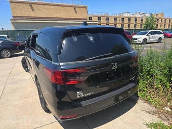 2023 Honda Odyssey Sport 118.1" WB - miniatura 2
