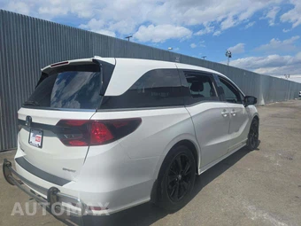 2023 Honda Odyssey Sport 118.1" WB - miniatura 3