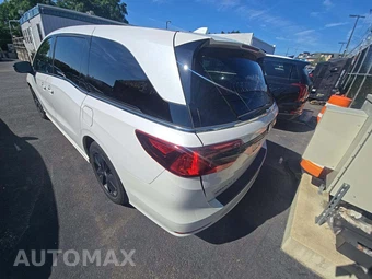 2023 Honda Odyssey Sport 118.1" WB - miniatura 2