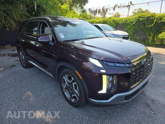 2023 Hyundai Palisade Limited - miniatura 4