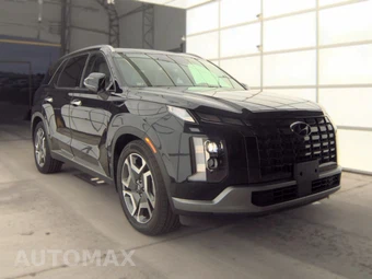2023 Hyundai Palisade Limited - miniatura 3