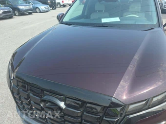 2023 Hyundai Palisade Limited - miniatura 19