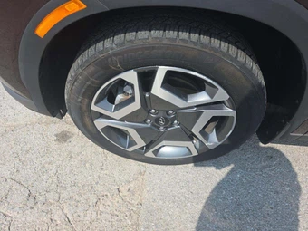 2023 Hyundai Palisade Limited - miniatura 21