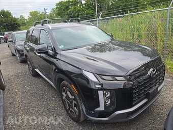 2023 Hyundai Palisade Limited - miniatura 3