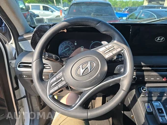 2023 Hyundai Palisade Limited - miniatura 10