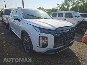 2023 Hyundai Palisade Limited - miniatura 3