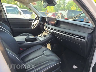 2023 Hyundai Palisade Limited - miniatura 8