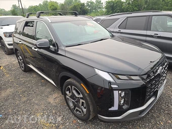 2023 Hyundai Palisade Limited - miniatura 3