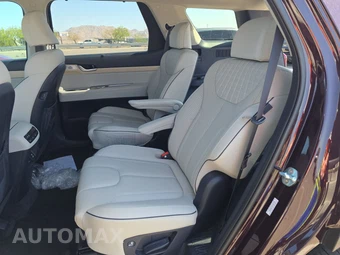 2023 Hyundai Palisade Limited - miniatura 13