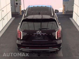 2023 Hyundai Palisade Limited - miniatura 5
